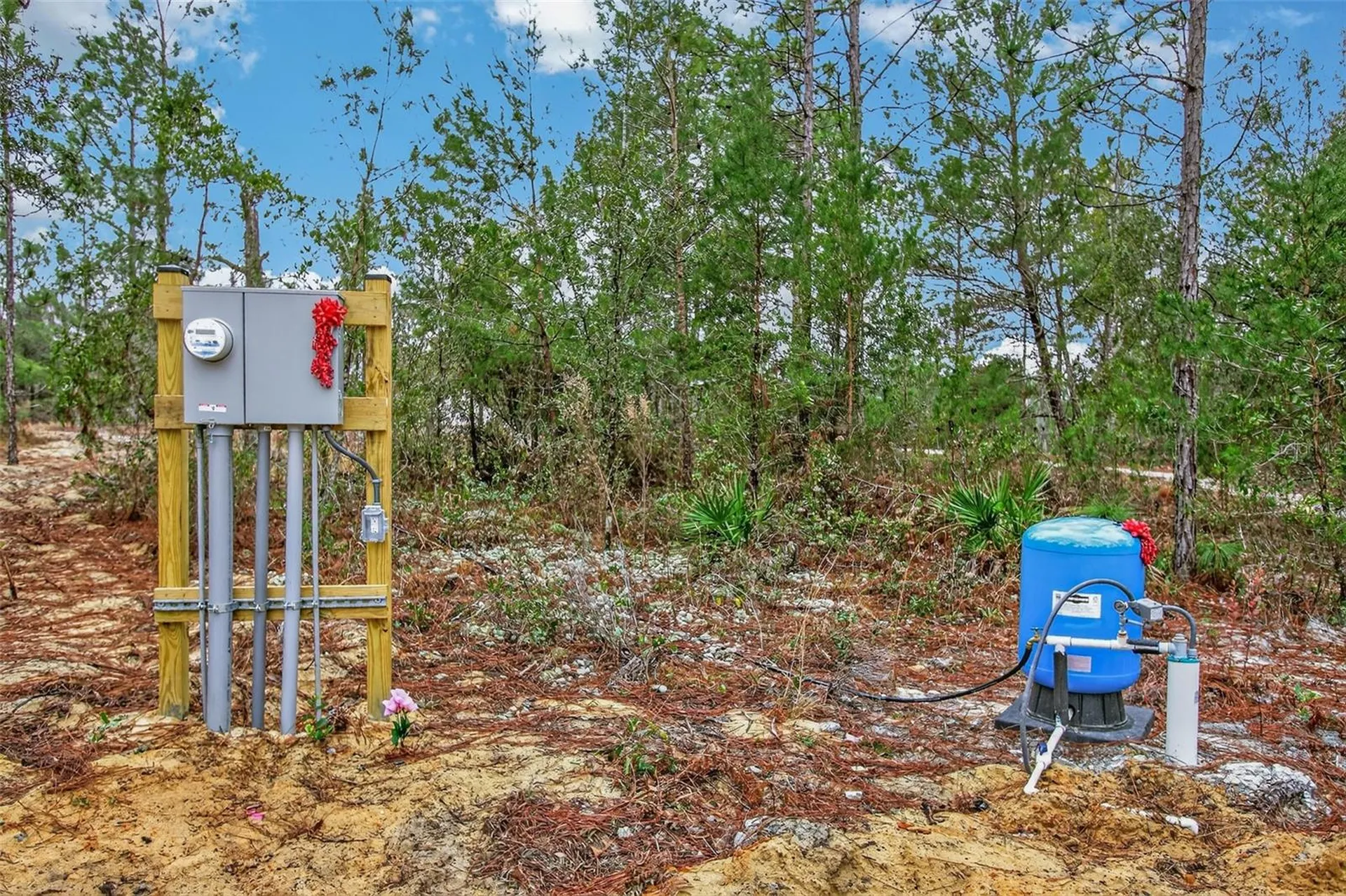419 Lily Trail Interlachen FL 32148