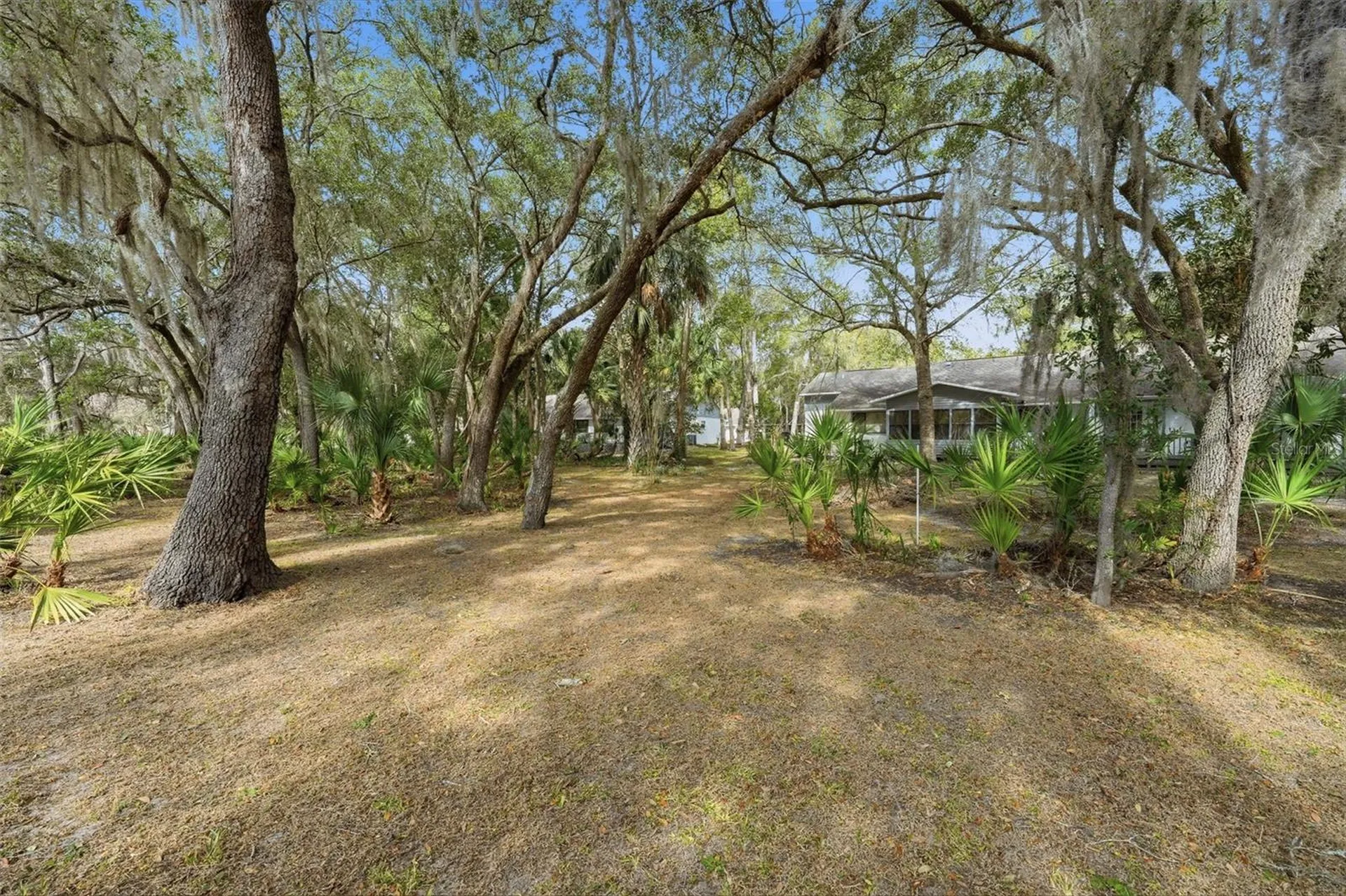 554 W Cherry Laurel Court Beverly Hills FL 34465
