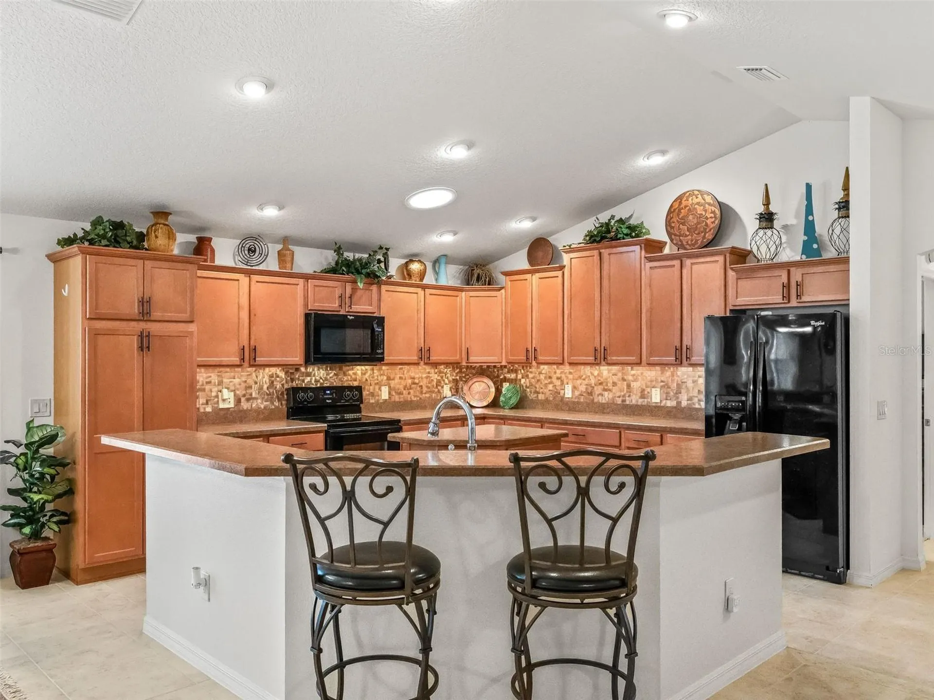 3698 Robertson Way The Villages FL 32163