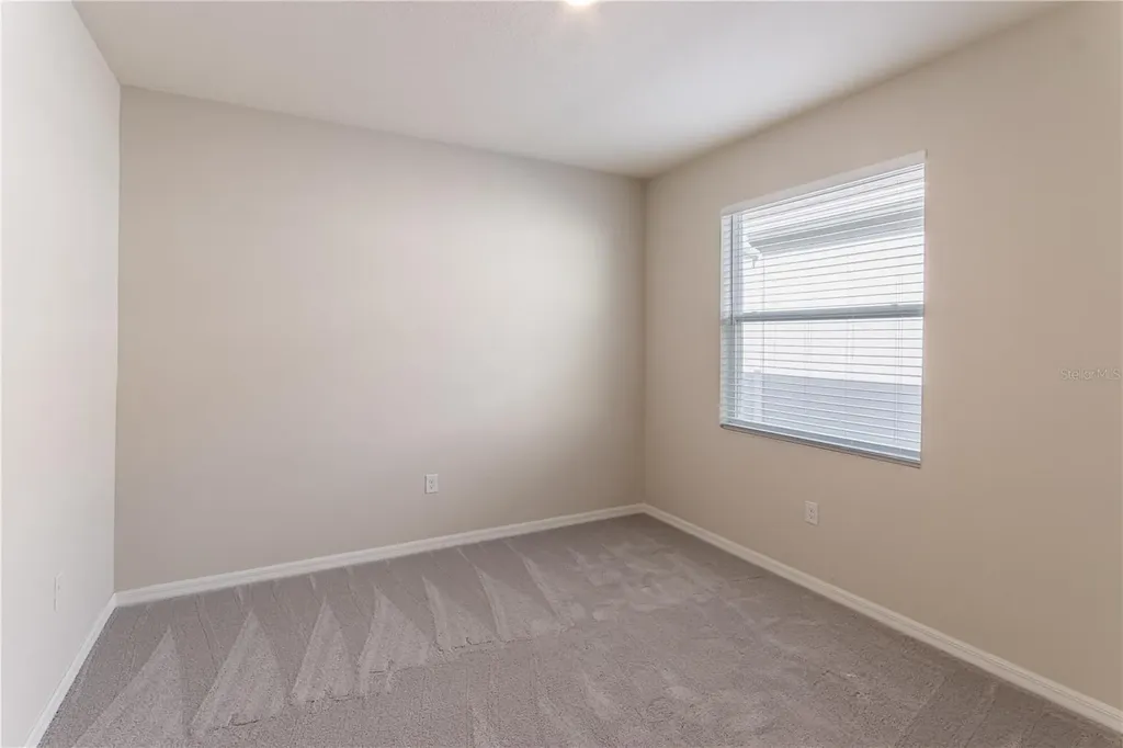 32183 Conchshell Sail Street Wesley Chapel FL 33545