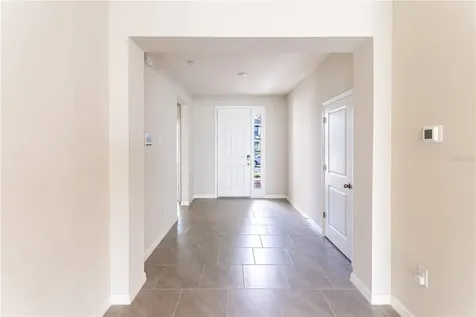 32183 Conchshell Sail Street Wesley Chapel FL 33545
