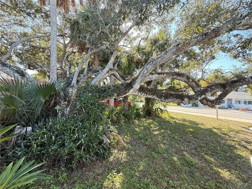 207 N Pine Street New Smyrna Beach FL 32169