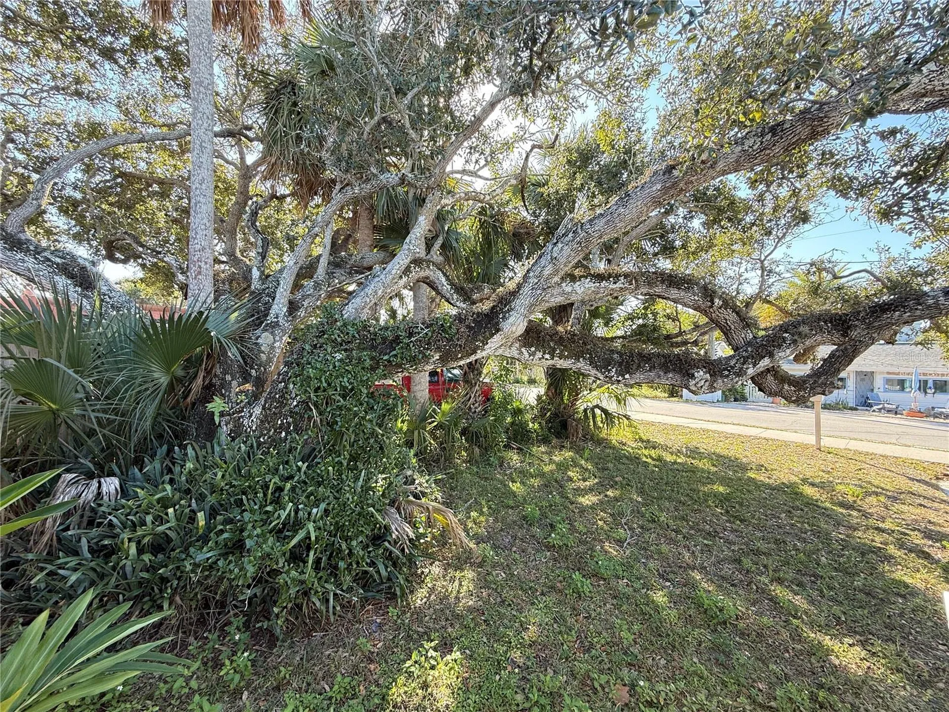207 N Pine Street New Smyrna Beach FL 32169