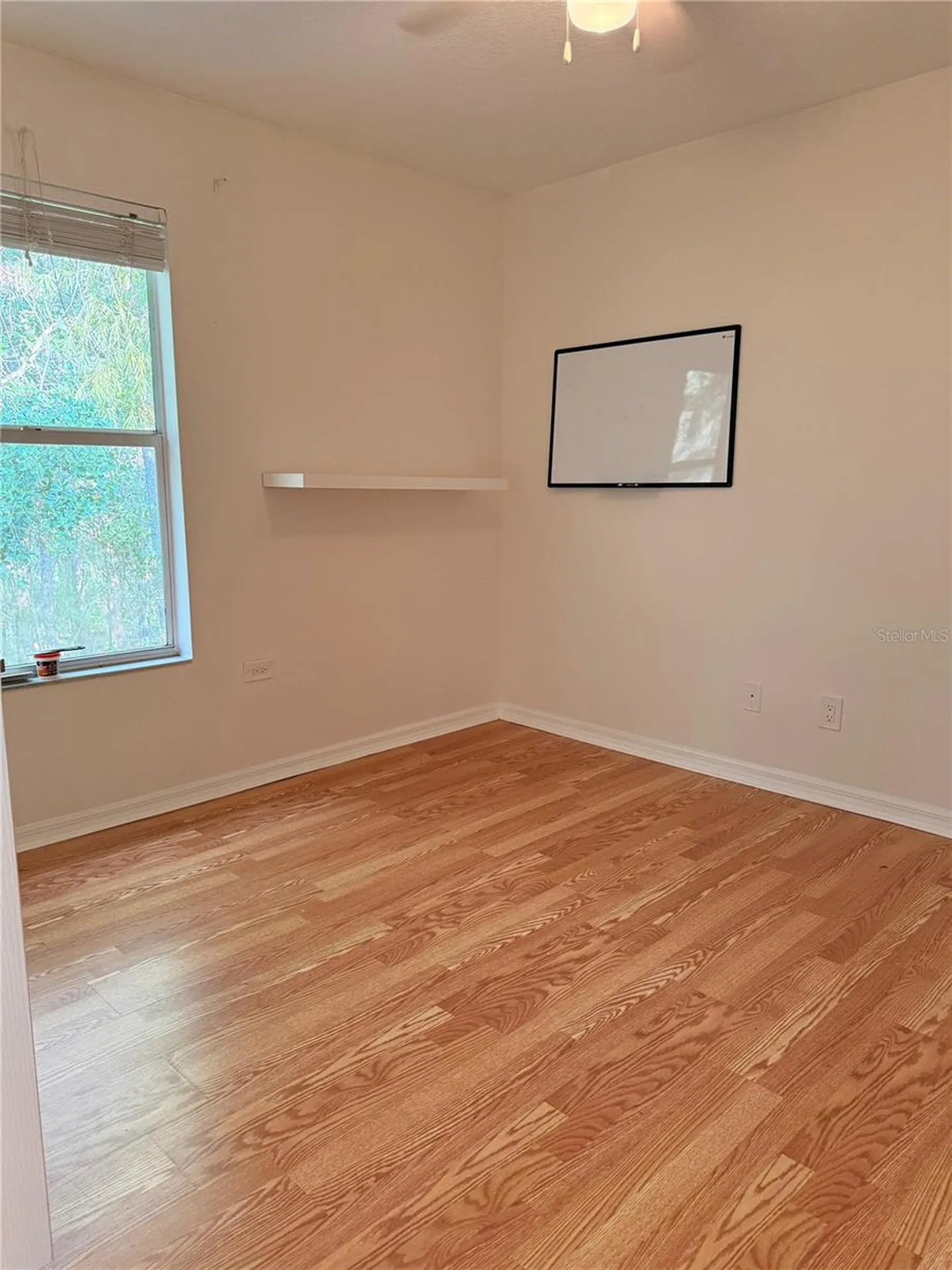 20428 Harvest Oak Court Tampa FL 33647