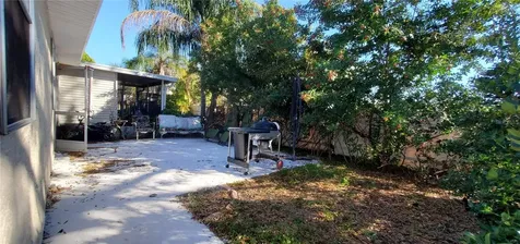 3180 Phlox Drive Palm Harbor FL 34684