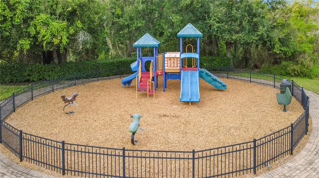 15327 Heron Hideaway Circle Winter Garden FL 34787