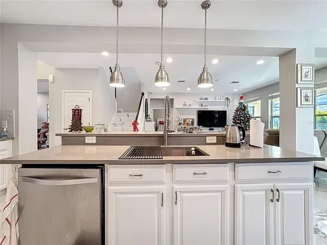 15327 Heron Hideaway Circle Winter Garden FL 34787