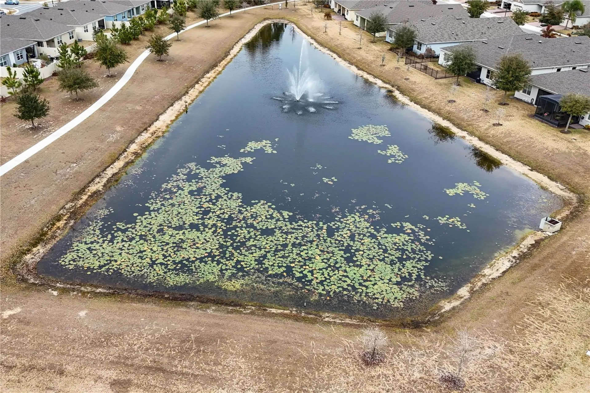 17718 Blazing Star Circle Clermont FL 34714