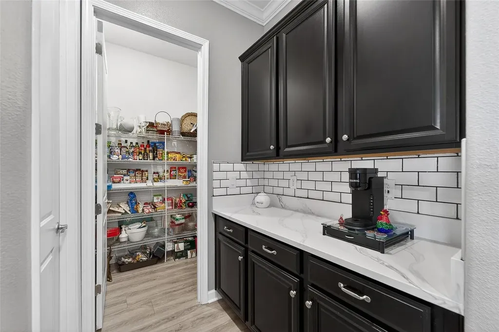 16810 Scuba Crest Street Wimauma FL 33598