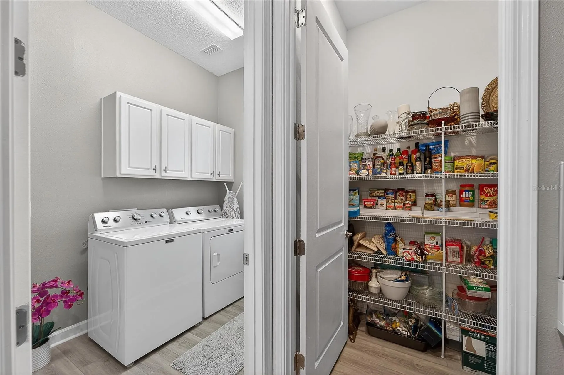 16810 Scuba Crest Street Wimauma FL 33598