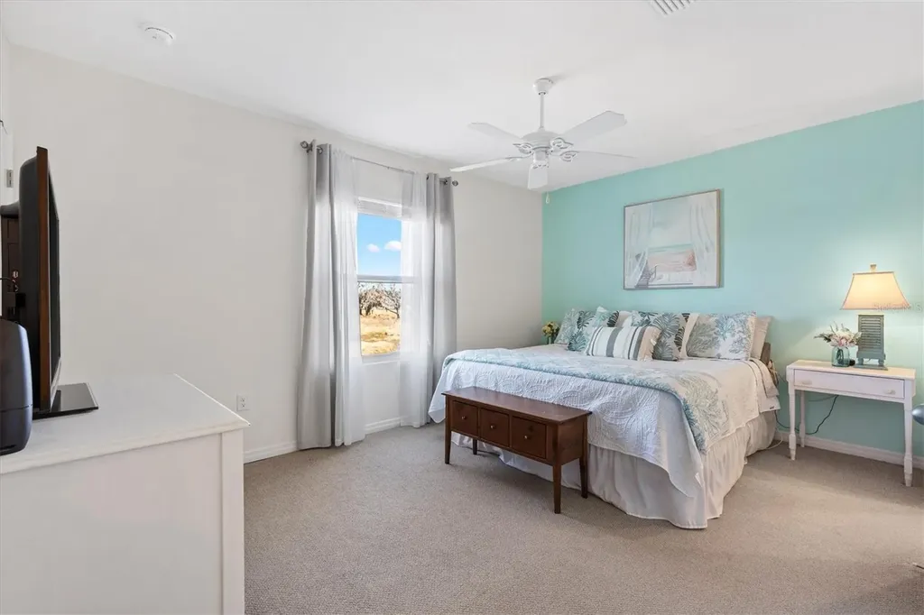 5250 Dragonfly Drive Wildwood FL 34785