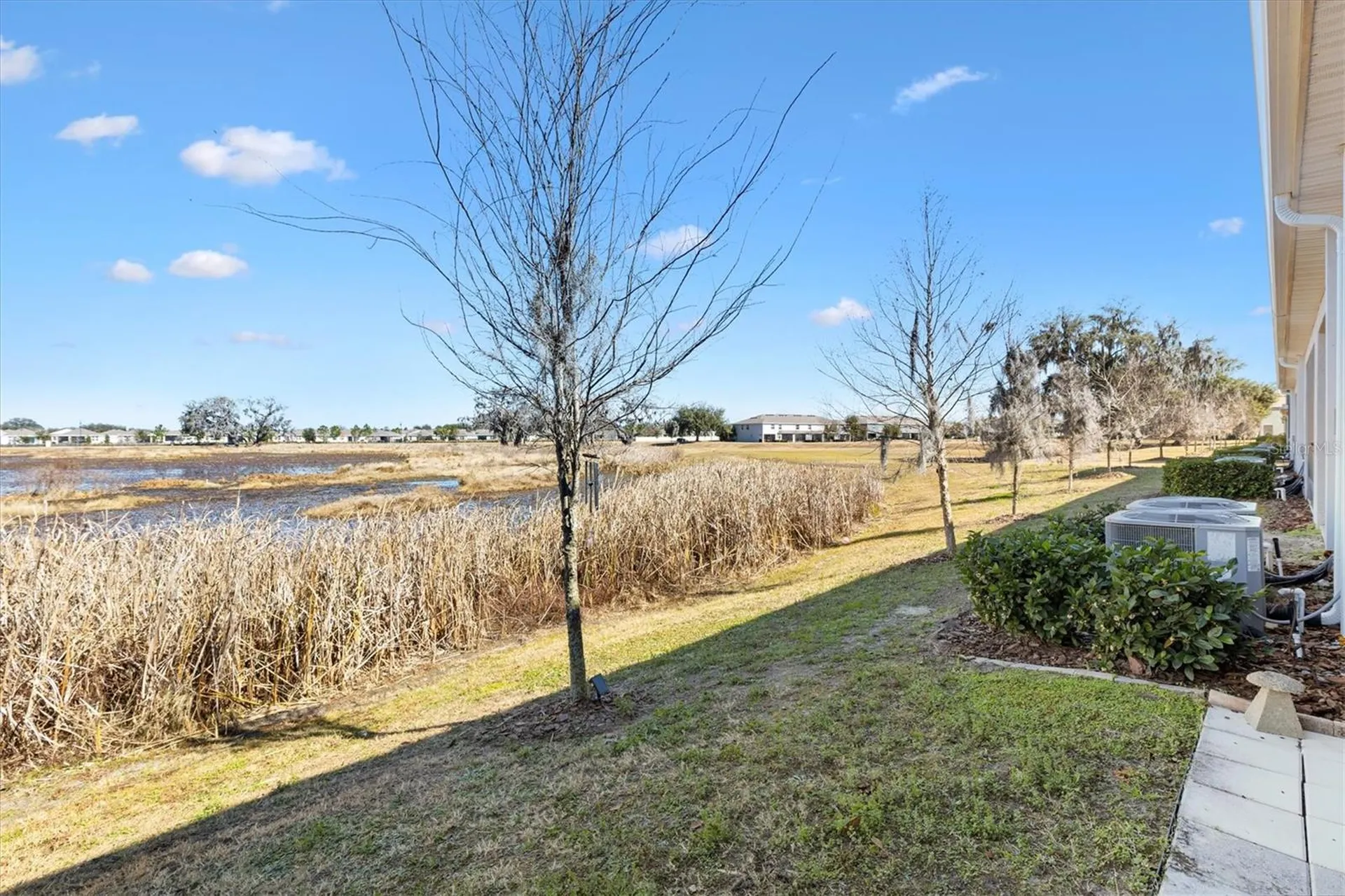 5250 Dragonfly Drive Wildwood FL 34785