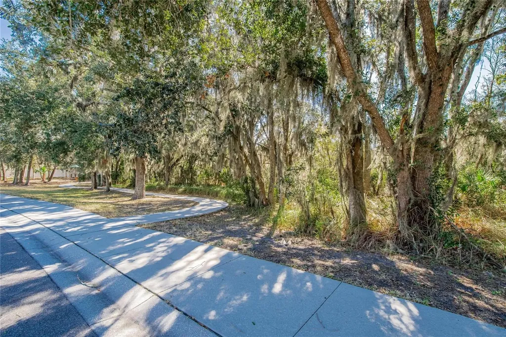 2819 Holly Bluff Court Plant City FL 33566