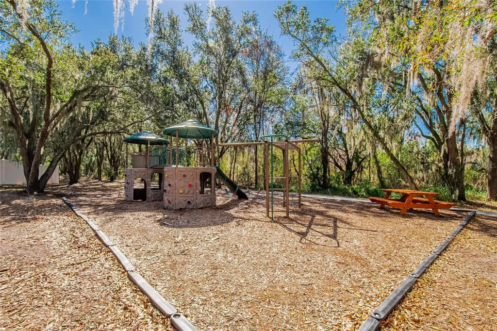 2819 Holly Bluff Court Plant City FL 33566