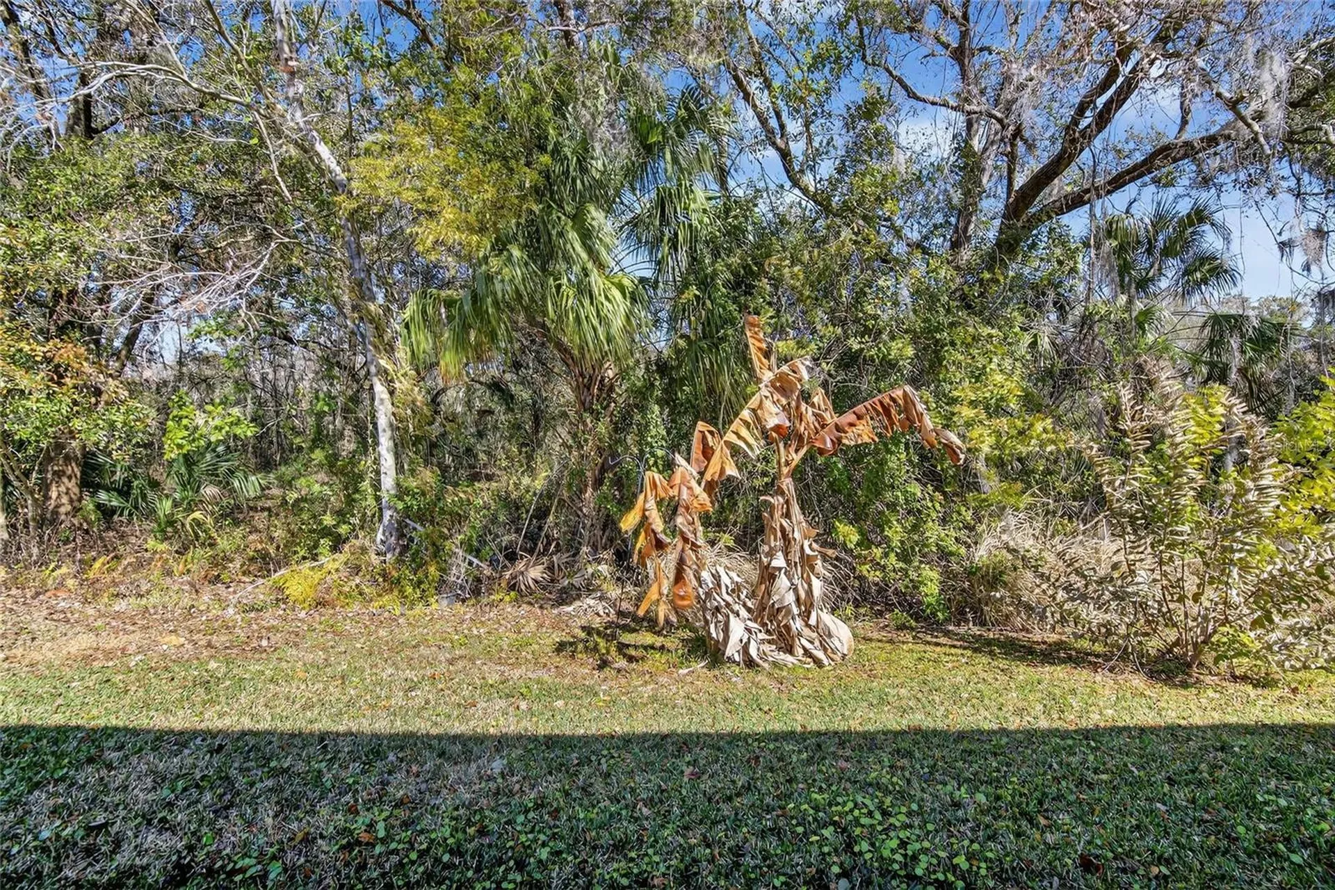 2819 Holly Bluff Court Plant City FL 33566