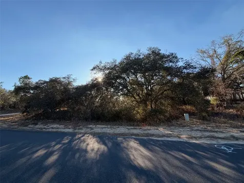6818 N Waycross Way Citrus Springs FL 34433