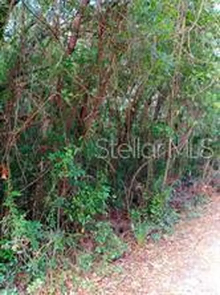 6864 W Ottas Court Crystal River FL 34429