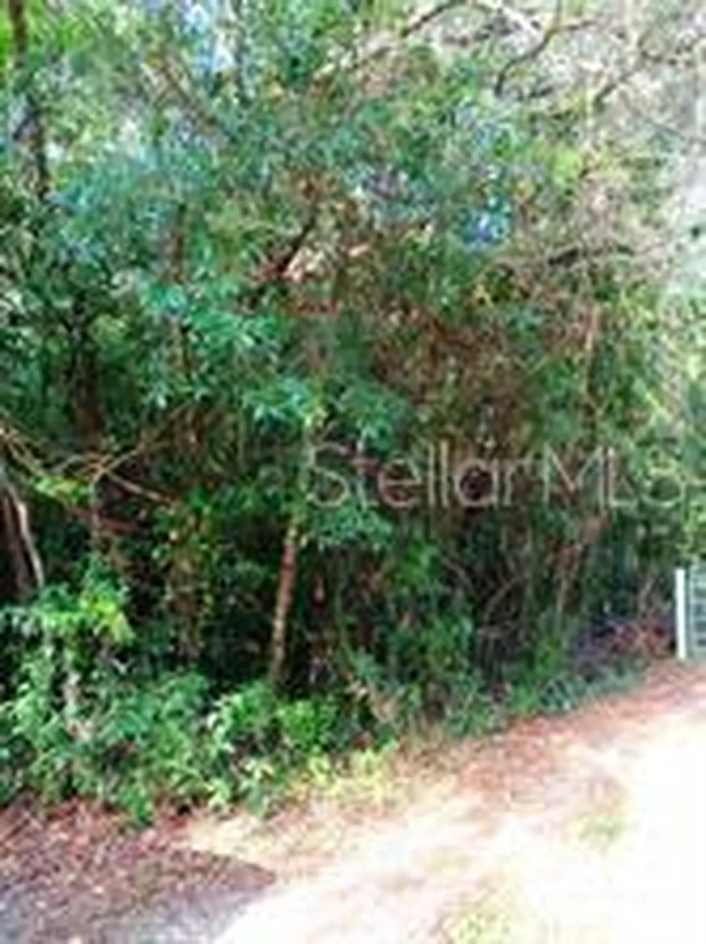 6864 W Ottas Court Crystal River FL 34429