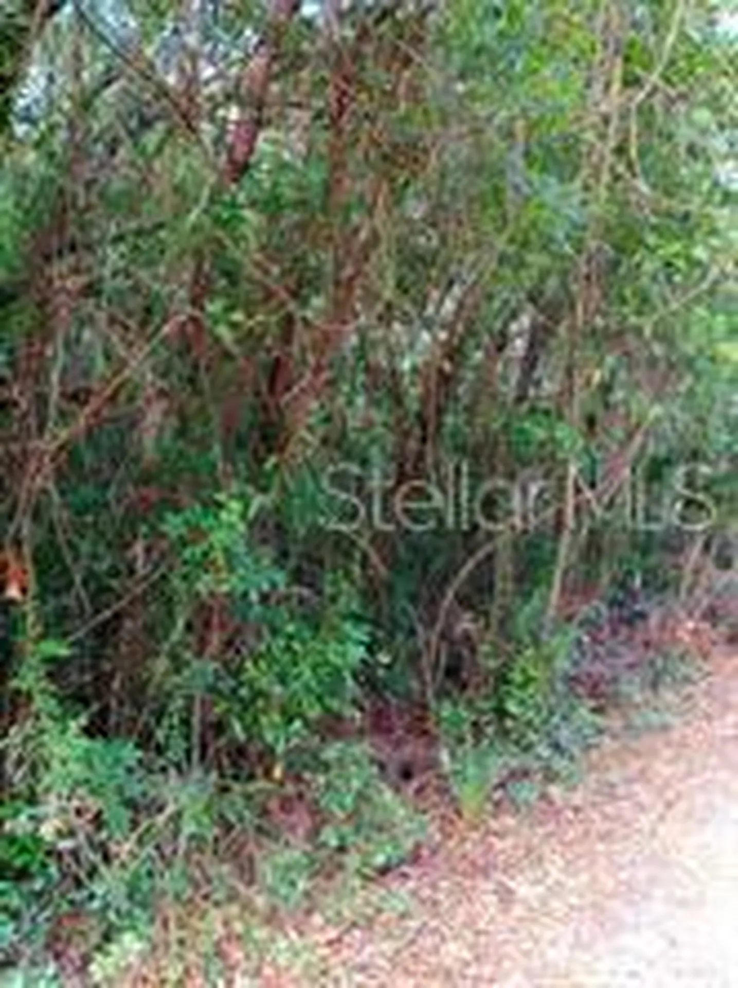 6864 W Ottas Court Crystal River FL 34429