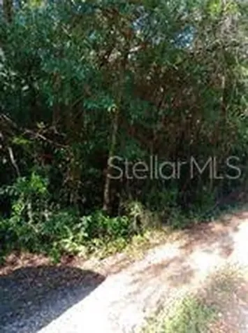 6864 W Ottas Court Crystal River FL 34429