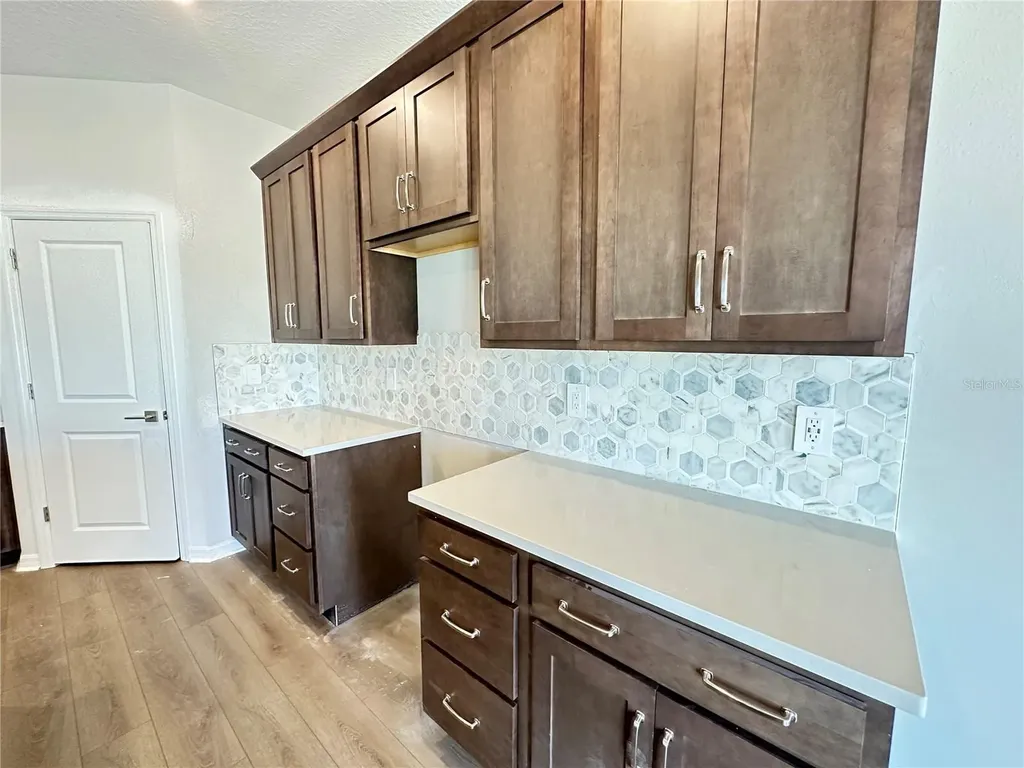5924 Fresh Flora Drive Wimauma FL 33598