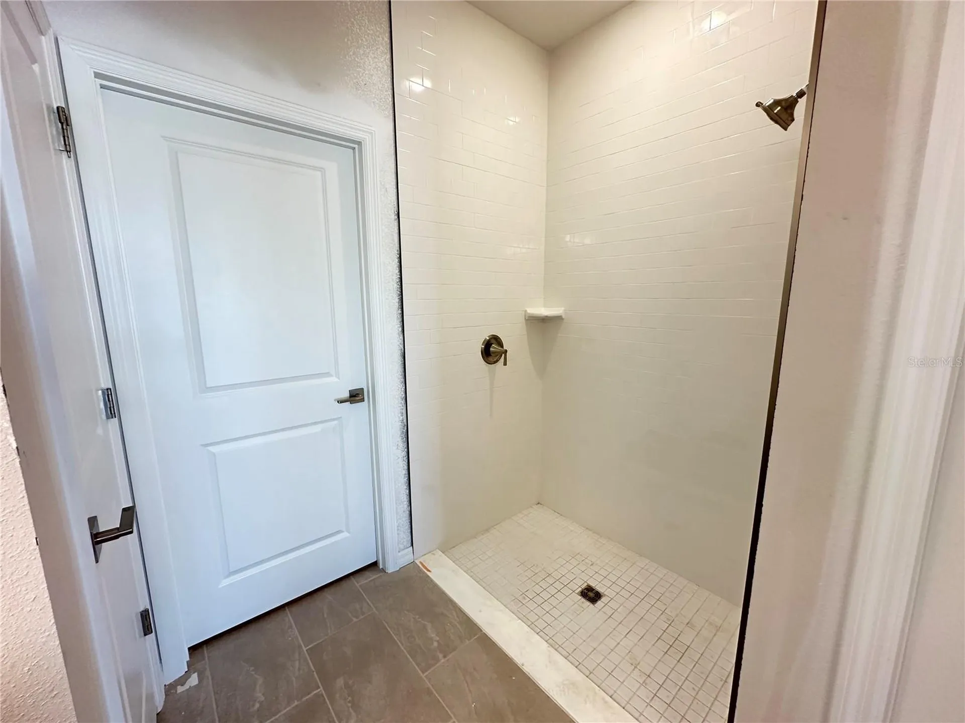 5924 Fresh Flora Drive Wimauma FL 33598