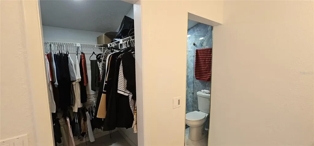 4520 Grainary Avenue Tampa FL 33624