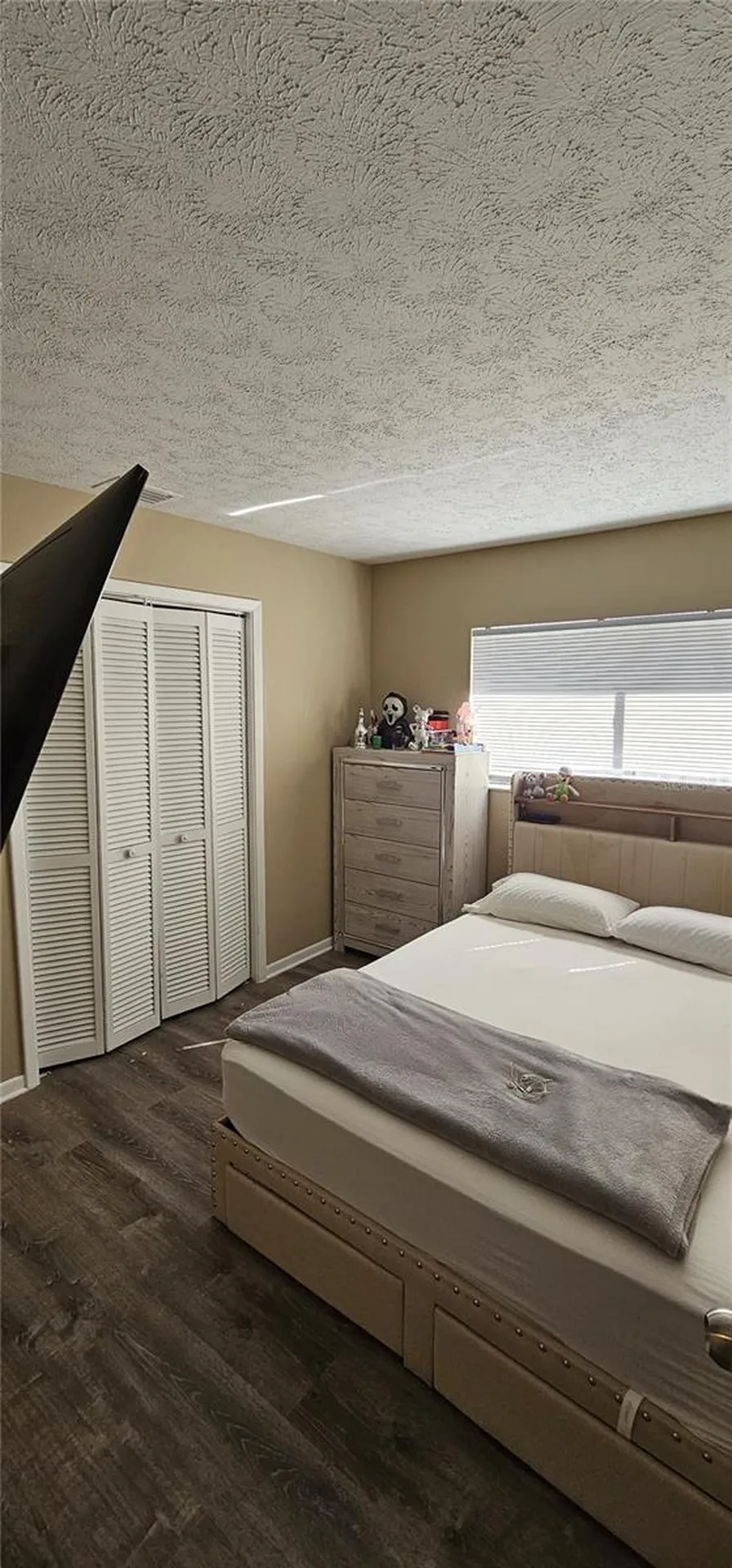 4520 Grainary Avenue Tampa FL 33624