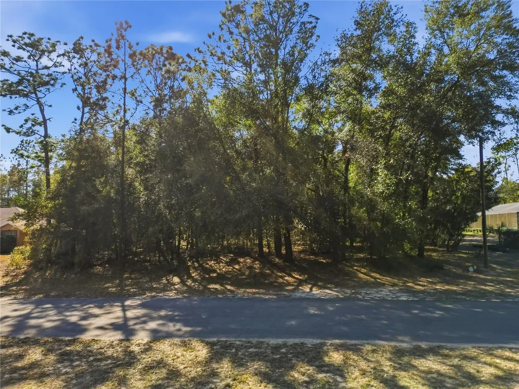 8420 N Foresome Way Citrus Springs FL 34434