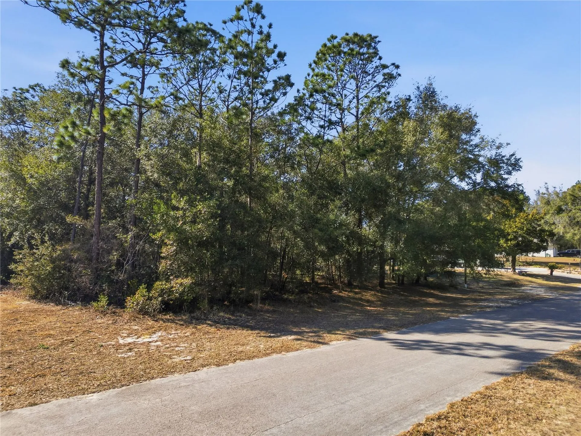 8420 N Foresome Way Citrus Springs FL 34434