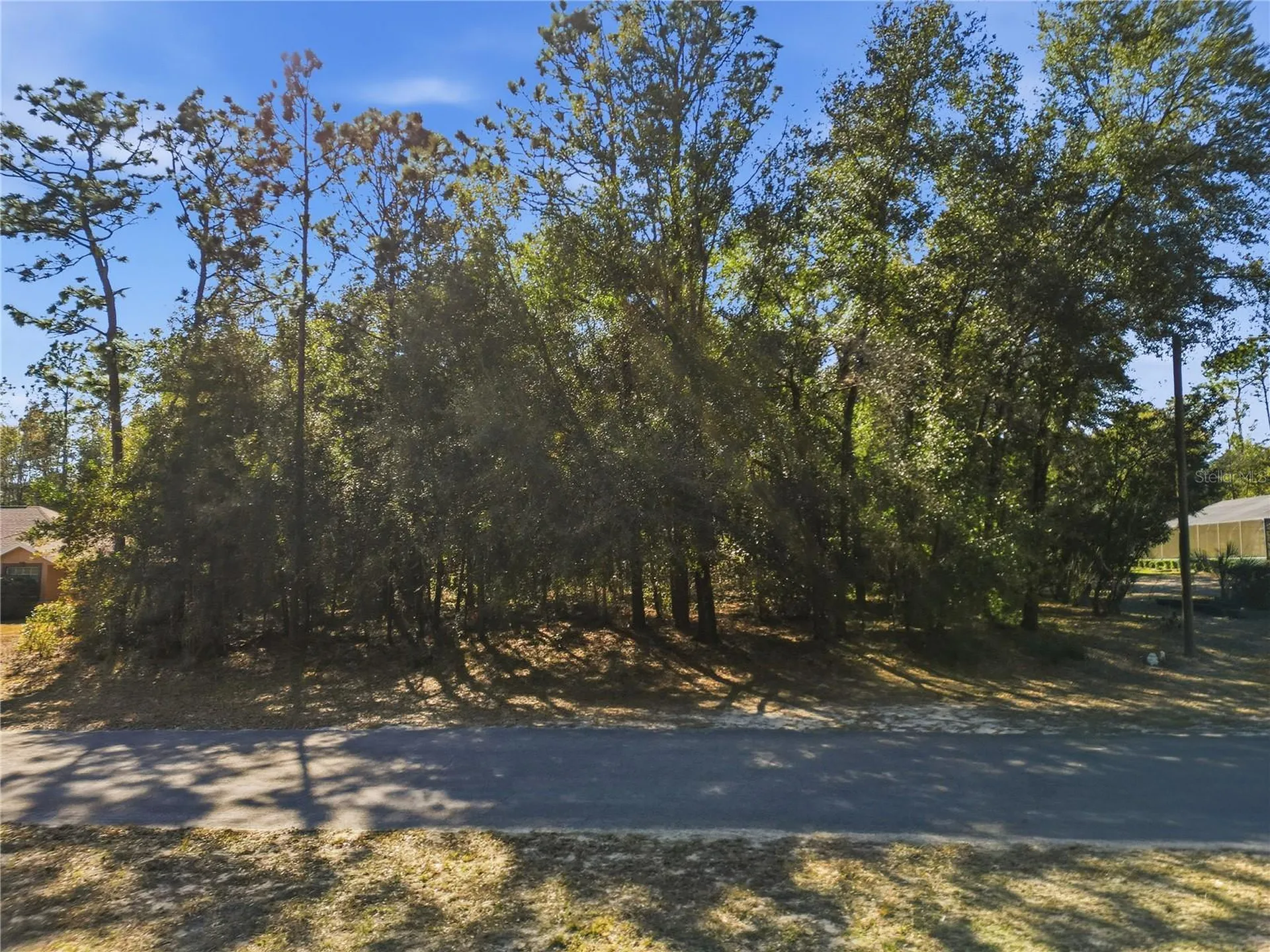 8420 N Foresome Way Citrus Springs FL 34434