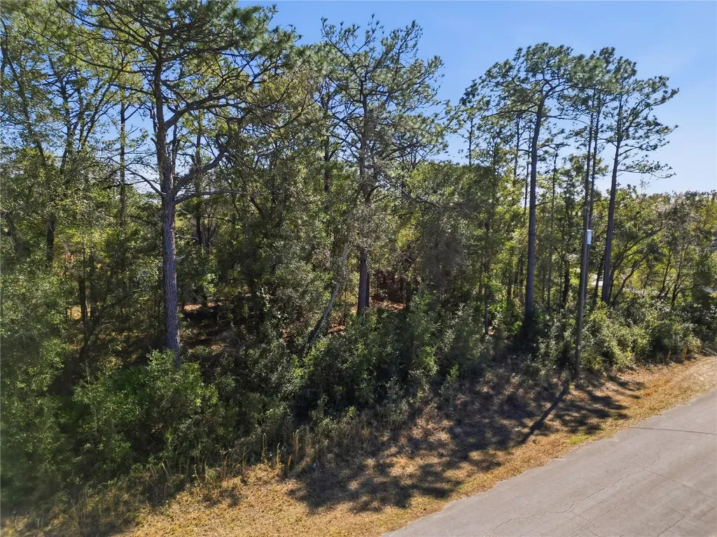 2780 W Elgin Place Citrus Springs FL 34434