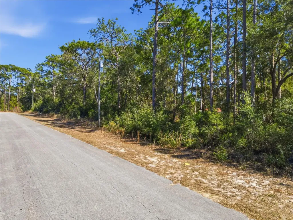 2780 W Elgin Place Citrus Springs FL 34434