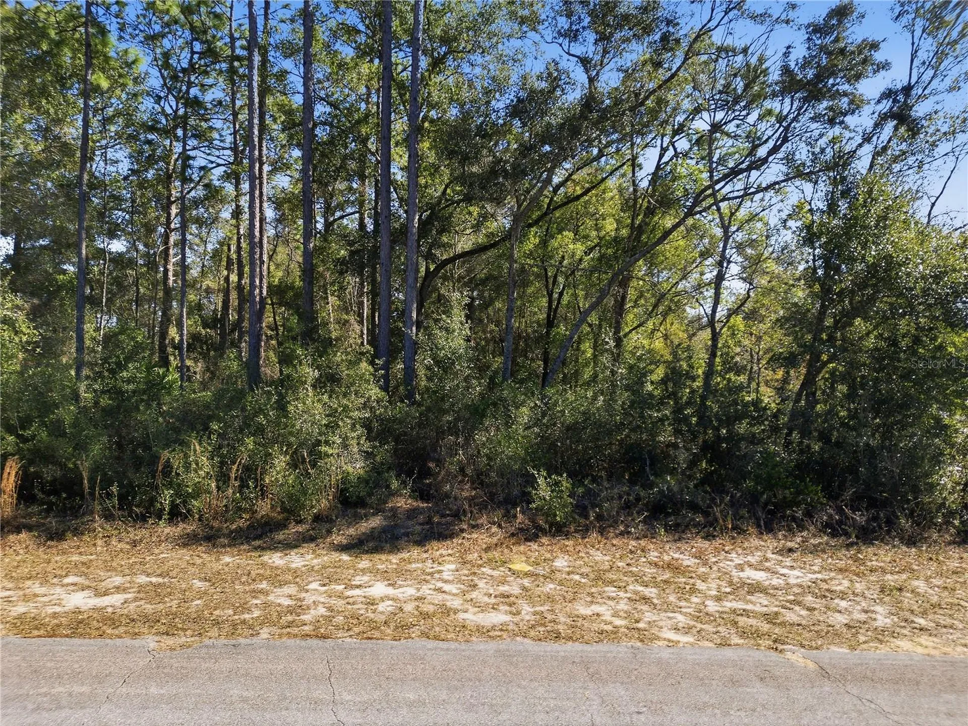2780 W Elgin Place Citrus Springs FL 34434
