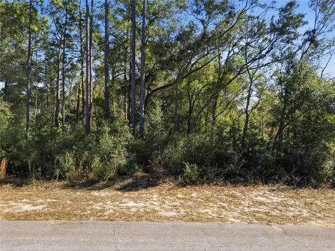 2780 W Elgin Place Citrus Springs FL 34434