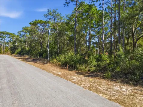 2780 W Elgin Place Citrus Springs FL 34434