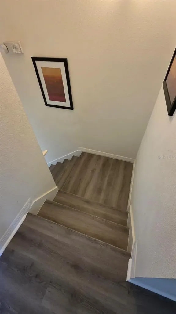 3022 Bird Of Paradise Lane Kissimmee FL 34747