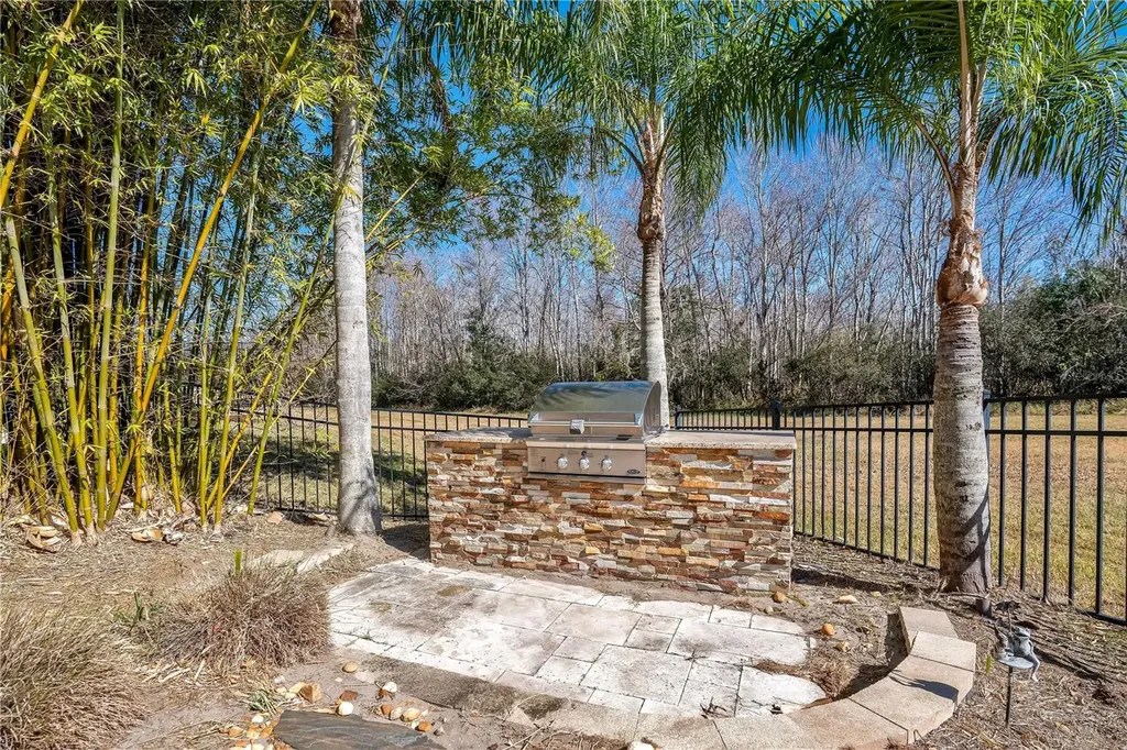 10420 Wittenberg Way Orlando FL 32832