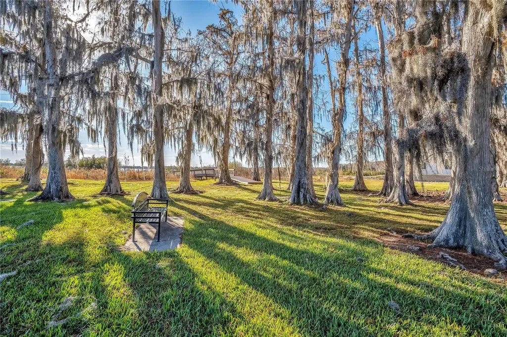10420 Wittenberg Way Orlando FL 32832