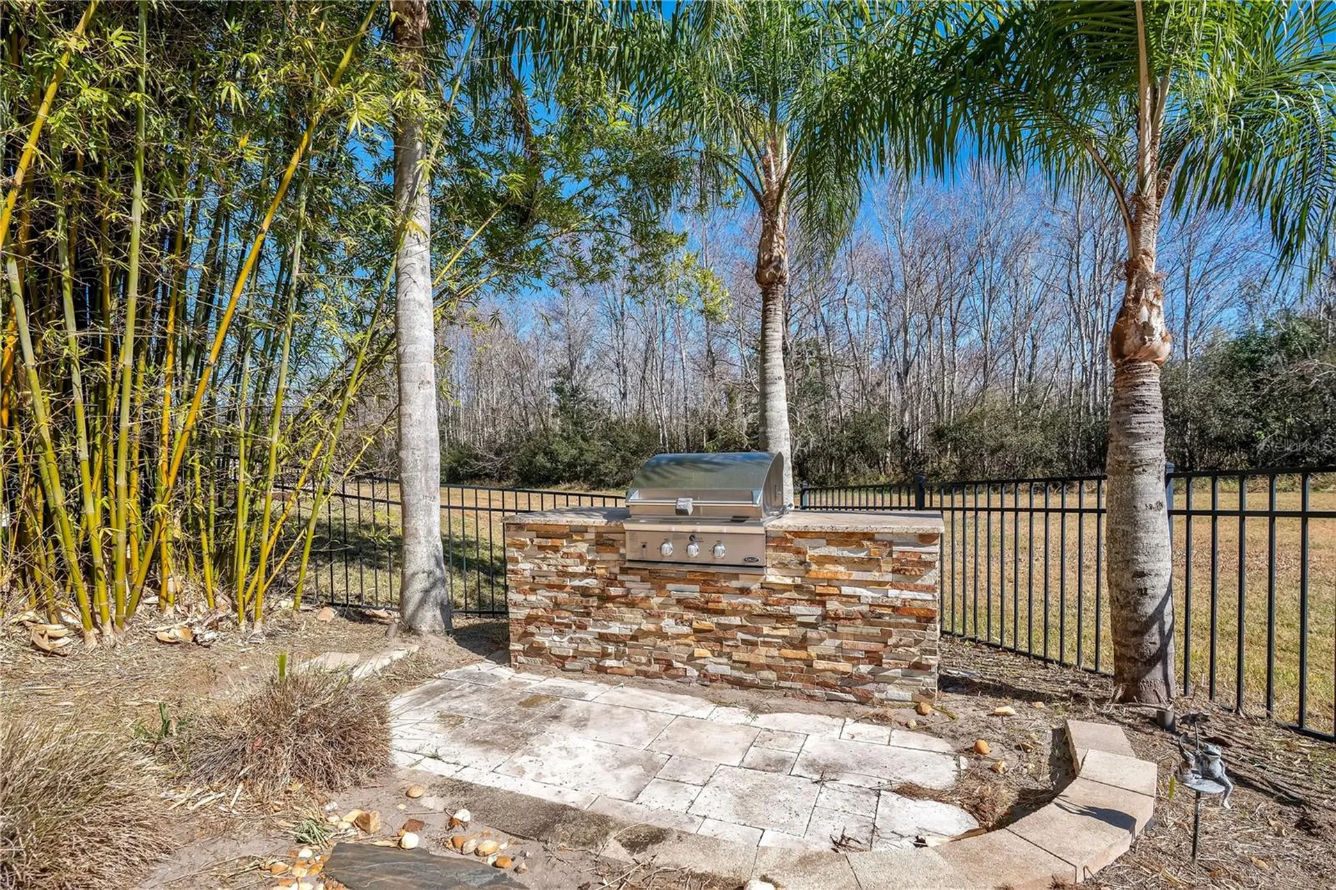 10420 Wittenberg Way Orlando FL 32832
