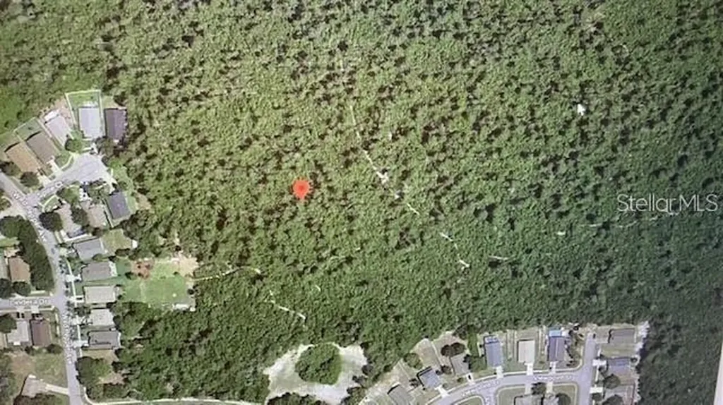 Morgan Paper Street Deltona FL 32725