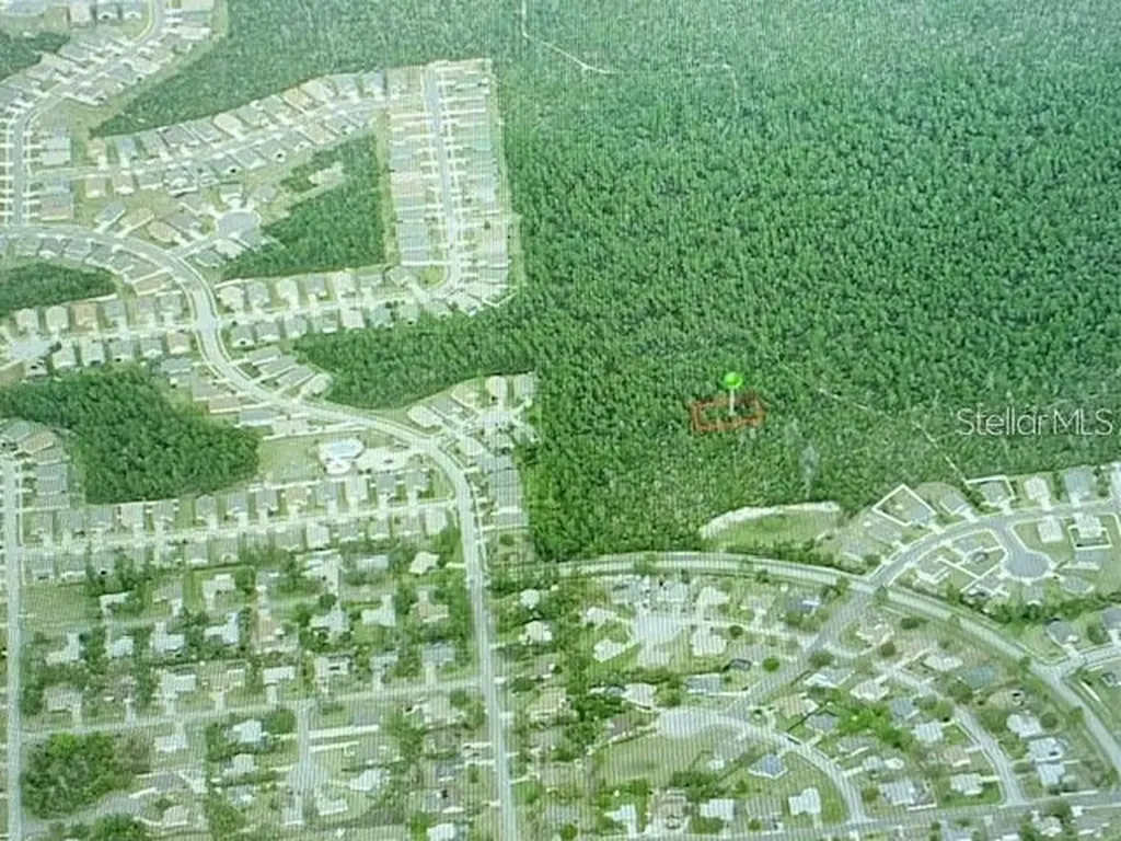 Morgan Paper Street Deltona FL 32725