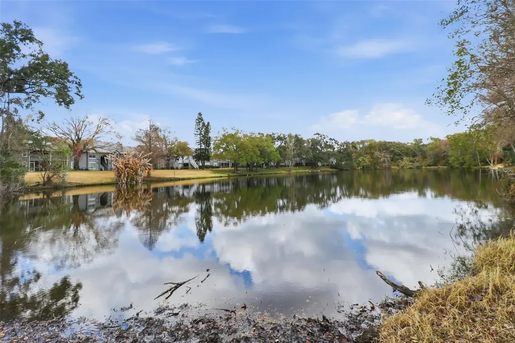 11808 Raintree Lake Lane Tampa FL 33617
