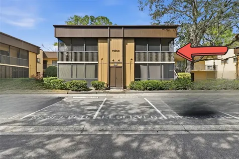 11808 Raintree Lake Lane Tampa FL 33617