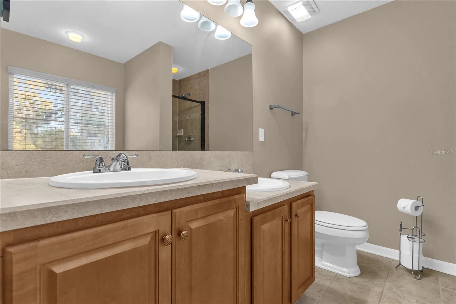 2916 Royal Tuscan Lane Valrico FL 33594