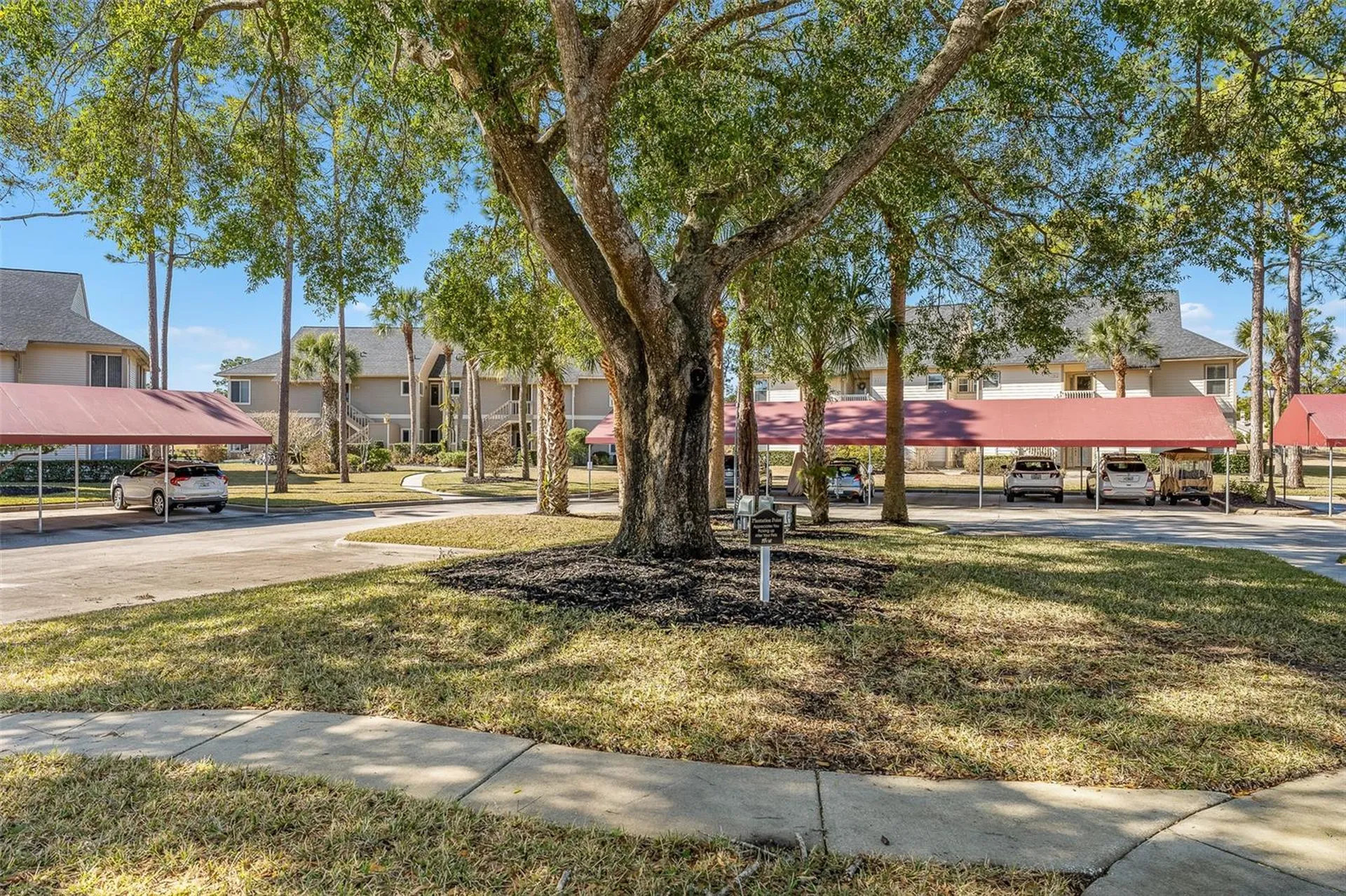39 Magnolia Drive S Ormond Beach FL 32174