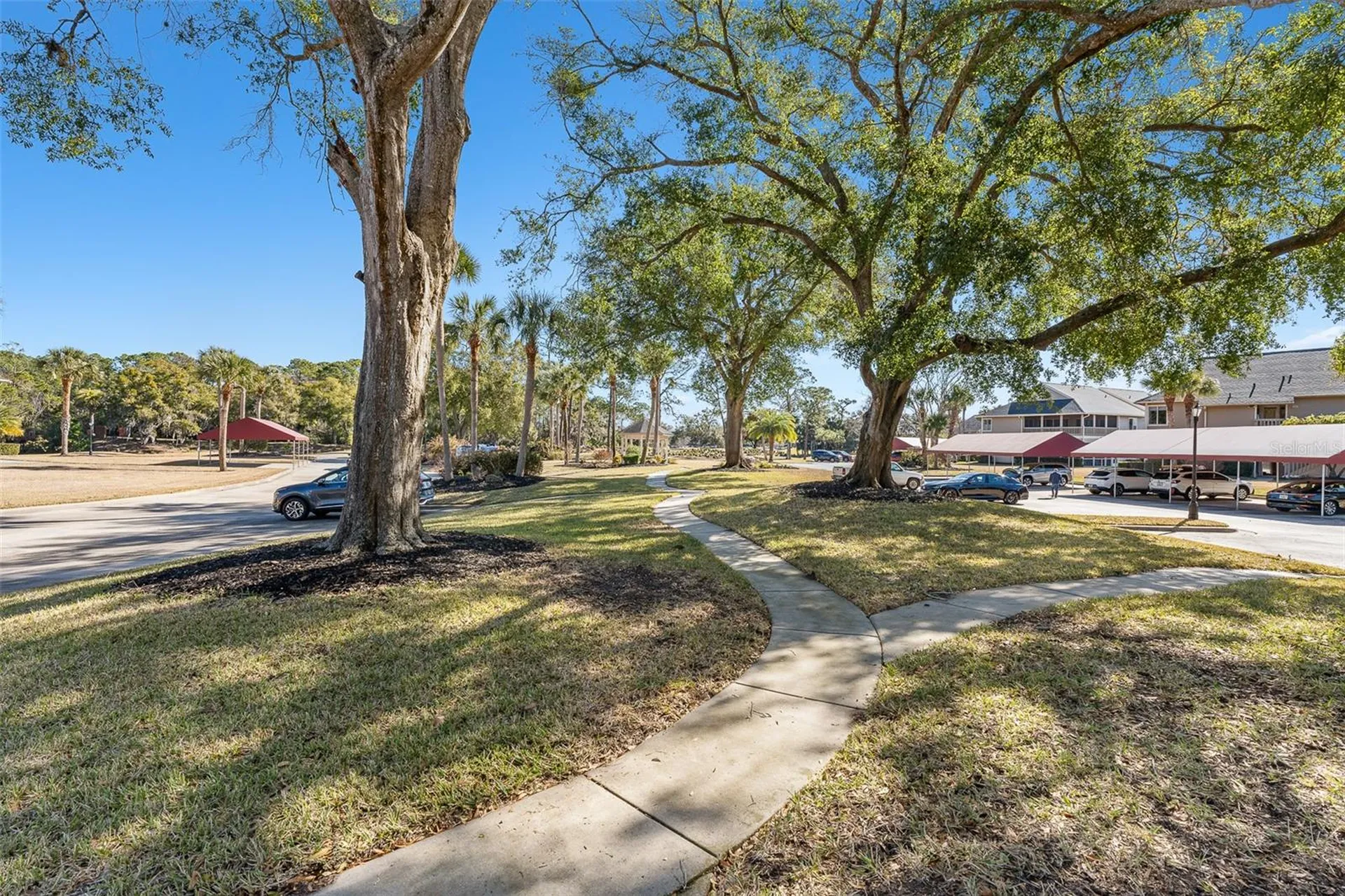 39 Magnolia Drive S Ormond Beach FL 32174