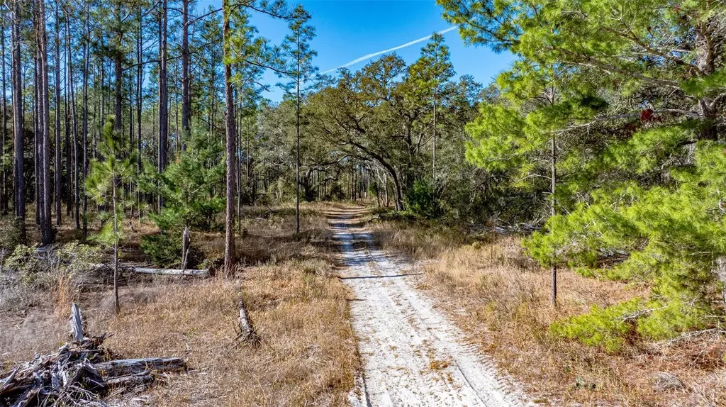13615 Tyrone Street Hudson FL 34667