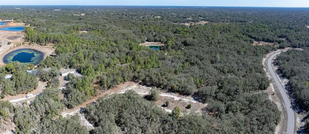 13615 Tyrone Street Hudson FL 34667