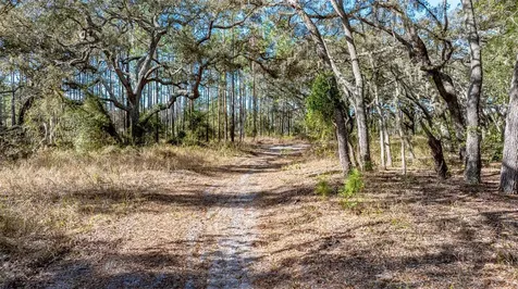 13615 Tyrone Street Hudson FL 34667
